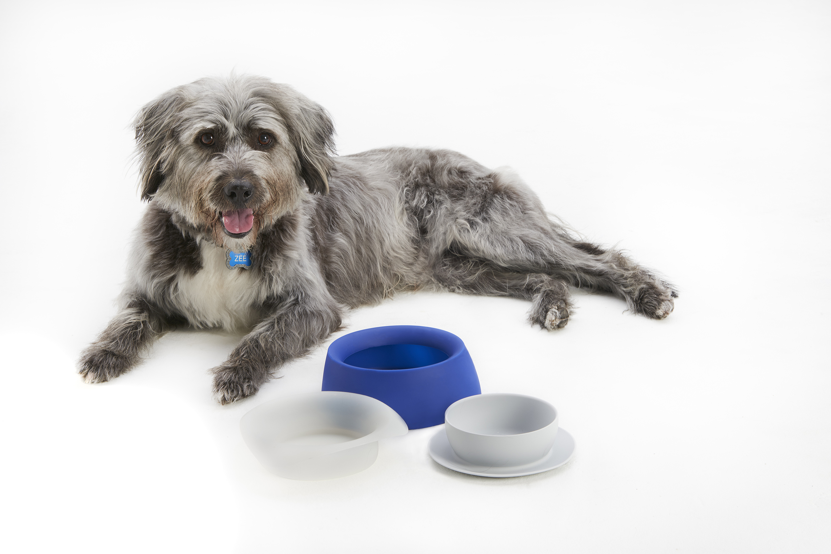 Subaru Pet Travel Bowls